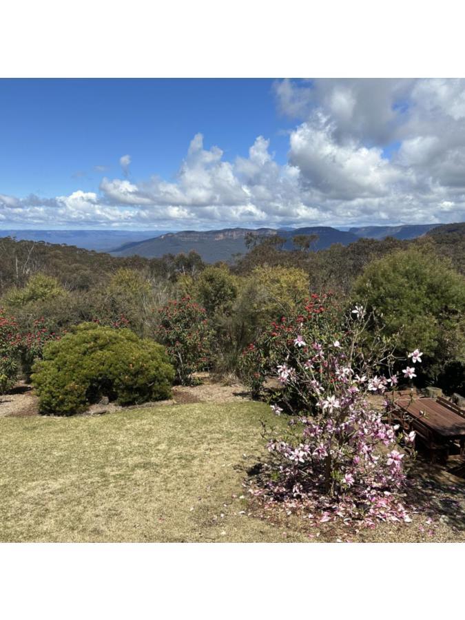 Valley Of The Waters B&B Wentworth Falls Eksteriør billede