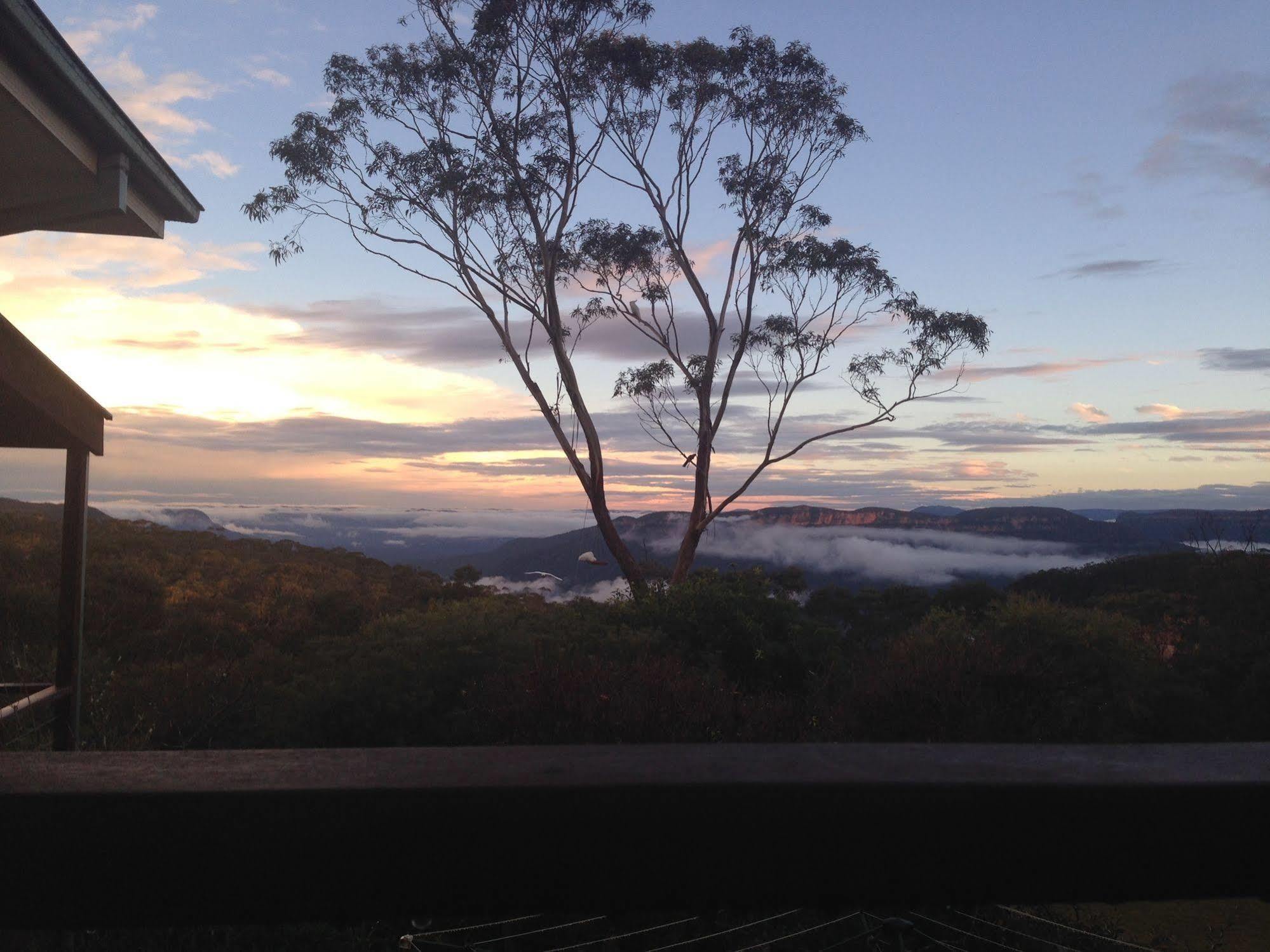 Valley Of The Waters B&B Wentworth Falls Eksteriør billede
