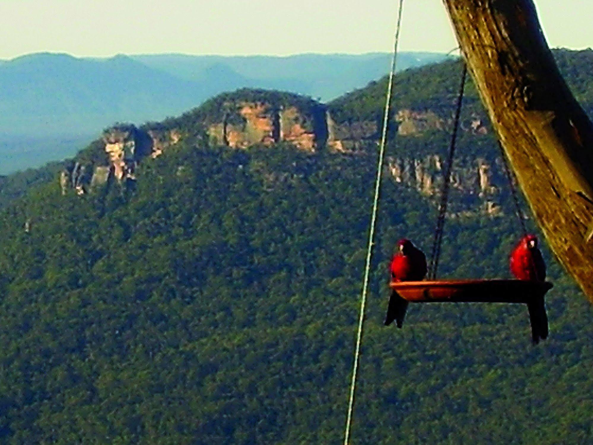Valley Of The Waters B&B Wentworth Falls Eksteriør billede