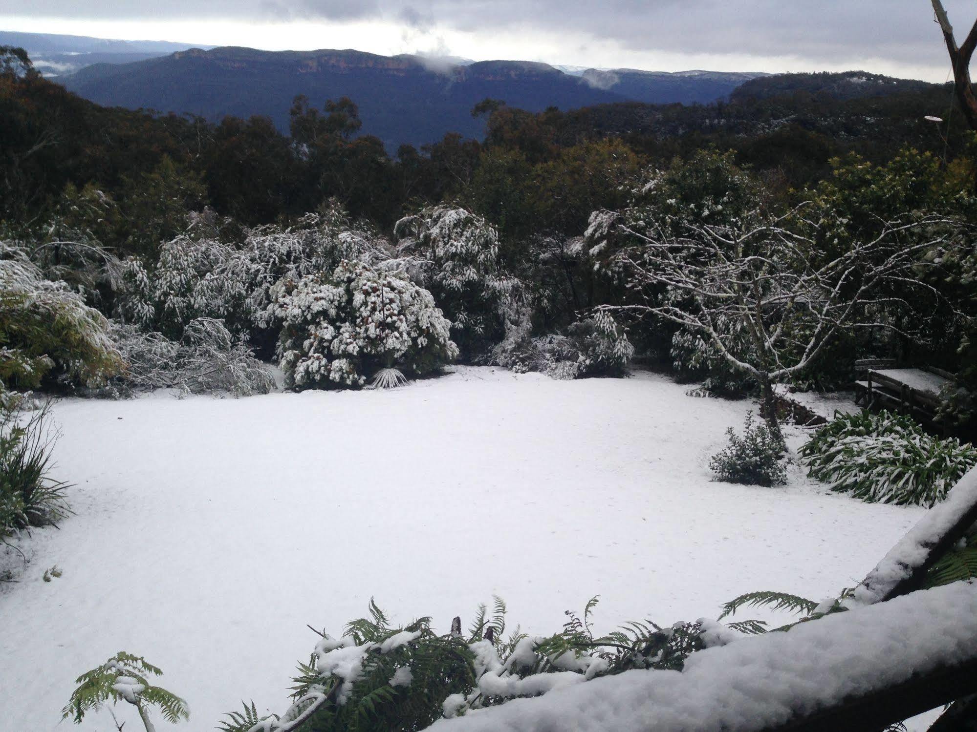 Valley Of The Waters B&B Wentworth Falls Eksteriør billede