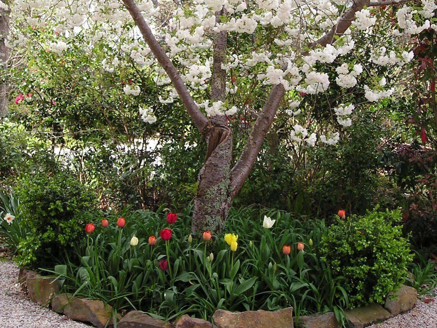 Valley Of The Waters B&B Wentworth Falls Eksteriør billede